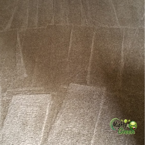 Paso Robles carpet cleaning